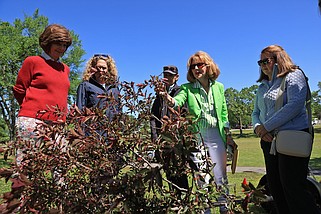 Members of the Little Rock Garden Club including president Terri Erwin, second from right, examine a crabapple sapling during an Earth Day tree planting event hosted by the organization at War Memorial Park on Monday, April 22, 2024. Over 30 trees were planted as part of a conservation initiative by the Little Rock Garden Club, the City Parks Conservancy and the Little Rock Parks and Recreation Department. (Arkansas Democrat-Gazette/Colin Murphey)